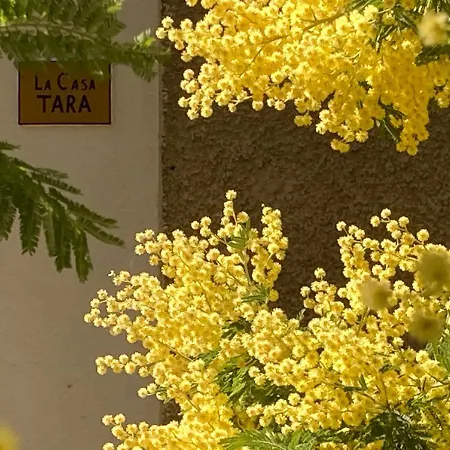 La Casa Tara بيت للعطل