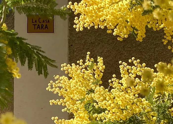 La Casa Tara Дом отдыха